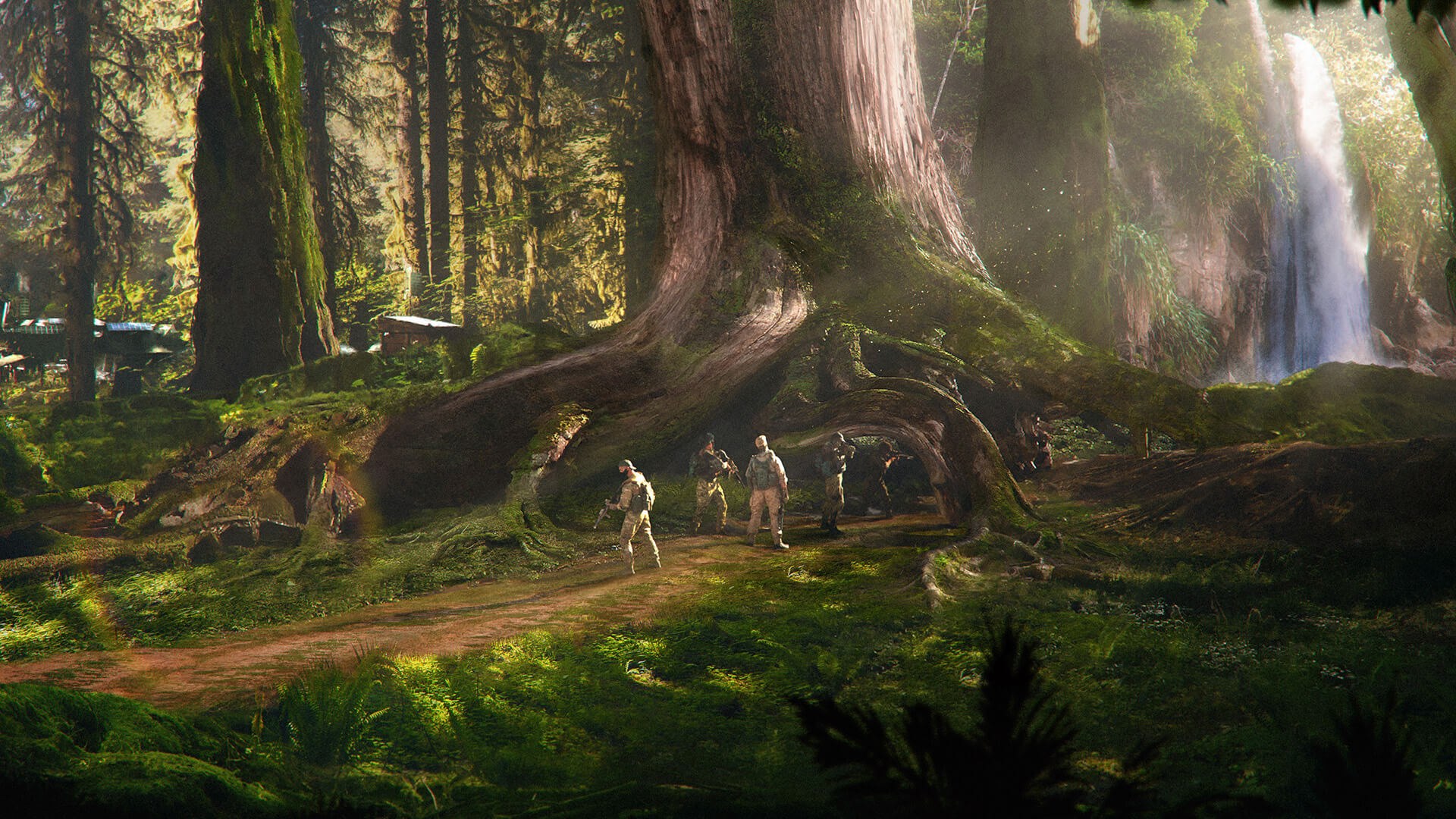 Southern Rain Forest
